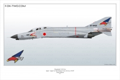 180-F-4EJ-Kai-302nd-Hikotai