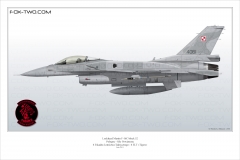 207-F-16C-Pologne-6-ELT