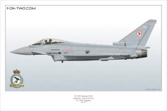 359-Typhoon-N-29Sqn-ZK320-classic