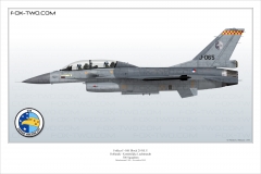 390-F-16B-MLU-Hollande-306-Sqn-J-065