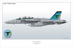 419-EA-18G-VAQ-135-166940-Special