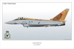 454-Typhoon-FGR4-UK-6-Sqn-ZK342-Special