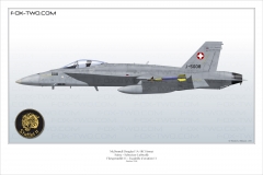 Profil d'un F/A-18C Hornet du Fliegerstaffel 11.