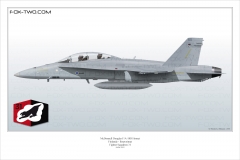 259-F-A-18D-31st-FS