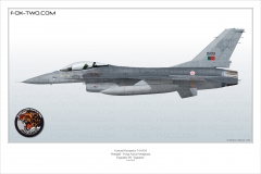 184-F-16AM-Portugal-301Sqn