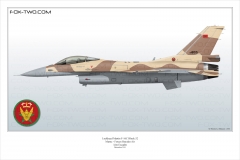 209-F-16C-Maroc