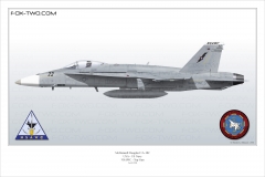 196-F-A-18C-NSAWC-164066