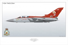 289-Tornado-F3-ZE-839