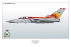 305-Tornado-F3-ZE-735