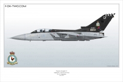 306-Tornado-F3-ZE-887