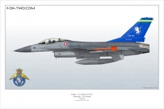 438-F-16MLU-Danemark-E-191-Special