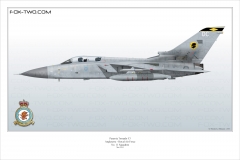 351-Tornado-F3-No-11-Sqn-ZE-295