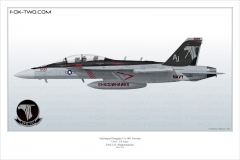 344-EA-18G-VAQ-141-166928-special