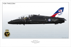 391-Hawk-Angleterre-XX337-special