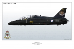 392-Hawk-Angleterre-XX226-special