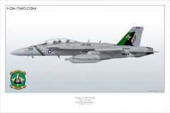 414-EA-18G-VAQ-209-166895-CAG