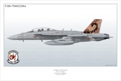 416-EA-18G-VAQ-132-166894-CAG