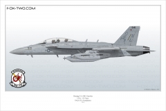 417-EA-18G-VAQ-132-166935-Classic