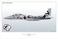 446-F-15DJ-Japon-32-8081-special