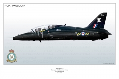 224-Hawk-T1A-No-100-Sqn