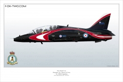 394-Hawk-Angleterre-XX307-special