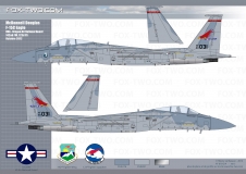 070-F-15C-142FW-02-cotes-1600