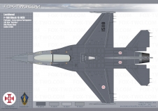 085-F-16B-03-dessus